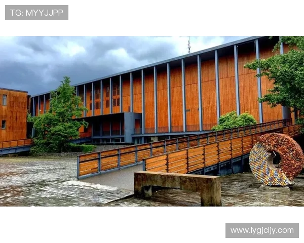 杭州滑板队在攀岩联赛中的实力展现与未来发展潜力分析